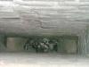 Family of Racoons making a home in the chimney